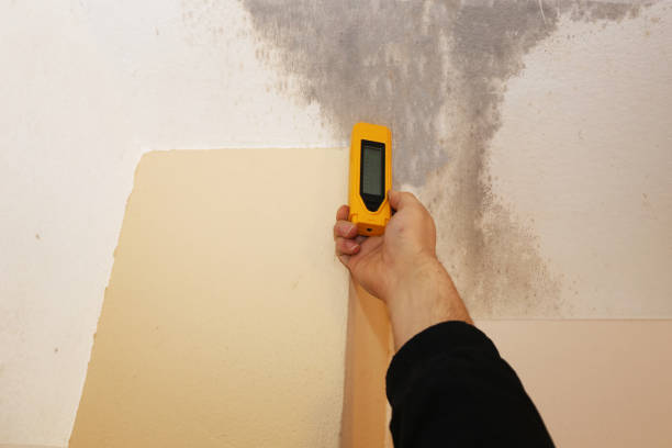 Mold Remediation for Rental Properties in Fort Mitchell, KY